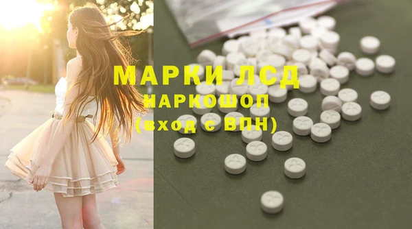 мдпв Щигры