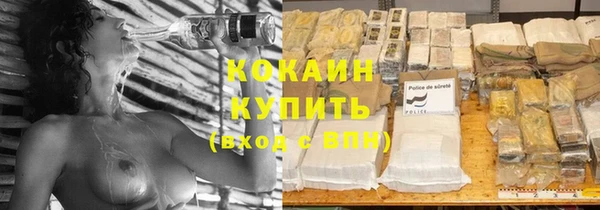 дмт Инта