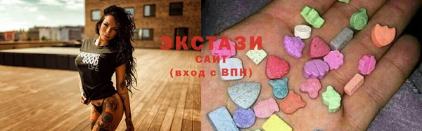 дмт Инта