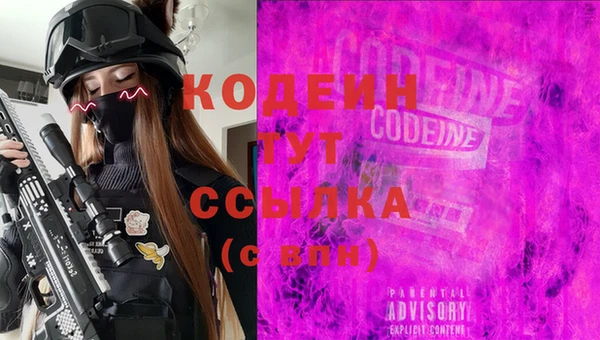 мяу мяу мука Иннополис