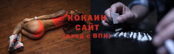 дмт Инта