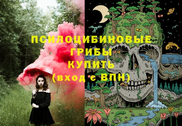 мяу мяу мука Иннополис