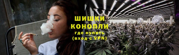 дмт Инта