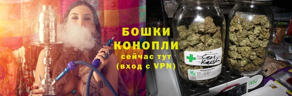 мяу мяу мука Иннополис