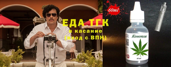 дмт Инта